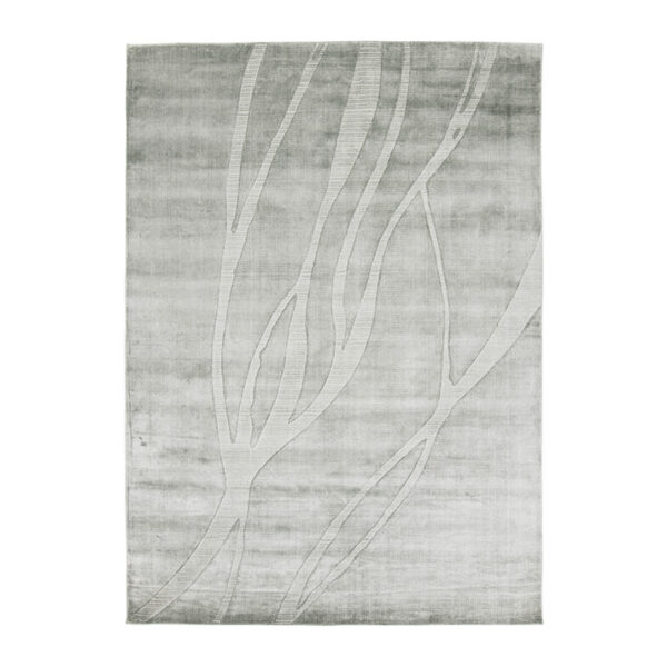 Lucera aqua Lucera aqua