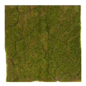 MOSS MAT