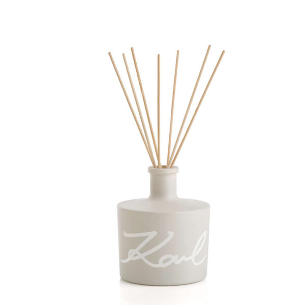 BOIS EPICE DIFFUSORE 500ML