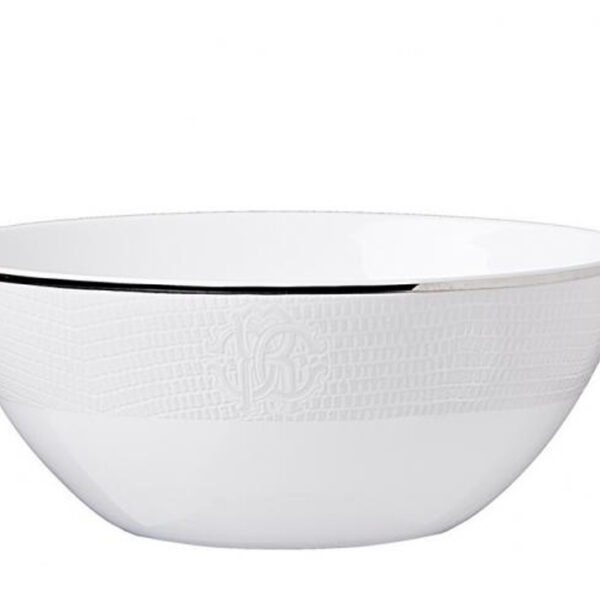 LIZZARD – SOUP BOWL – SET OF 6