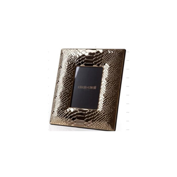 PYTHON GOLD – PICTURE FRAME