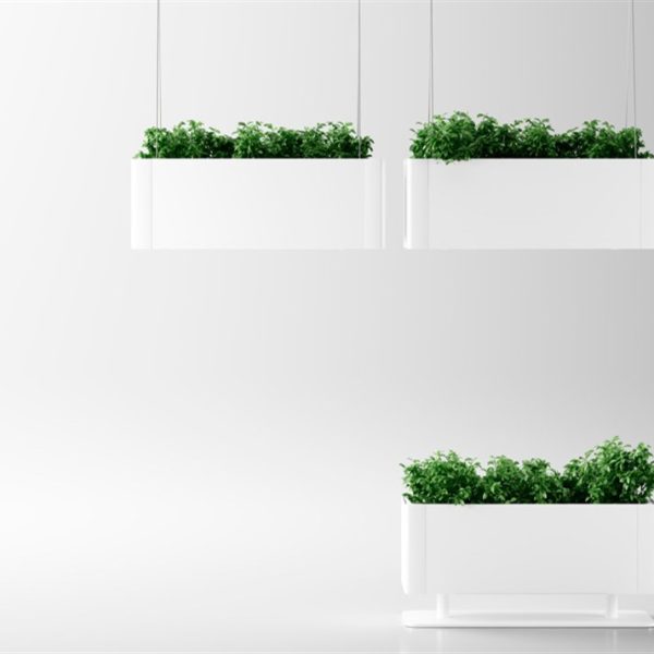 PLANT POT+SAUCER FOR GREEN LIGHT (WHITE)